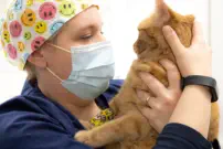 Bildsprache im Corporate Design