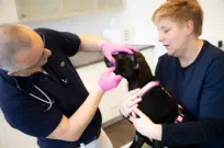 Bildsprache im Corporate Design